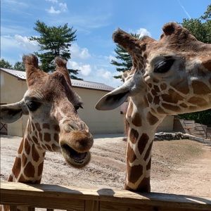 Meet your Posher, Danielle